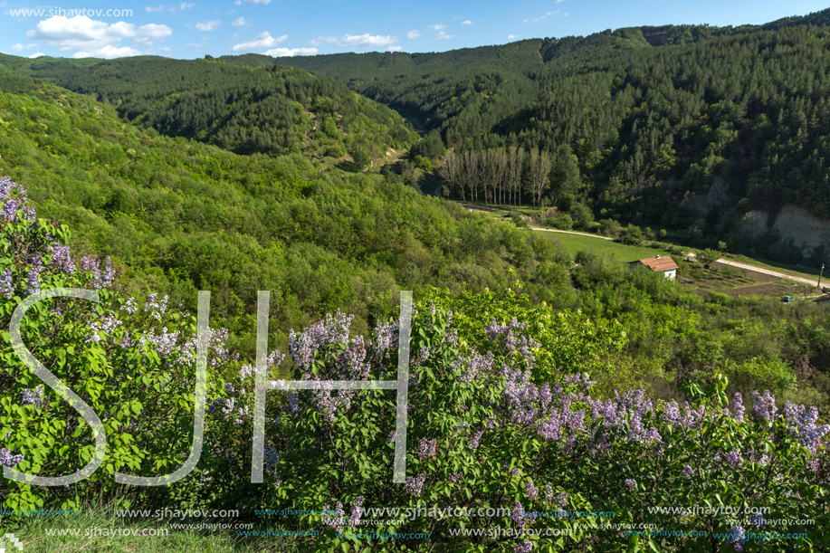 Landscape near rock formation Stob pyramids, Rila Mountain, Kyustendil region, Bulgaria