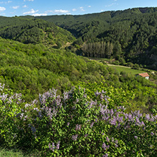 Landscape near rock formation Stob pyramids, Rila Mountain, Kyustendil region, Bulgaria
