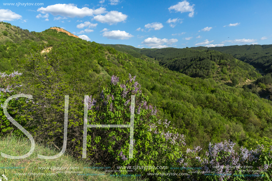 Landscape near rock formation Stob pyramids, Rila Mountain, Kyustendil region, Bulgaria