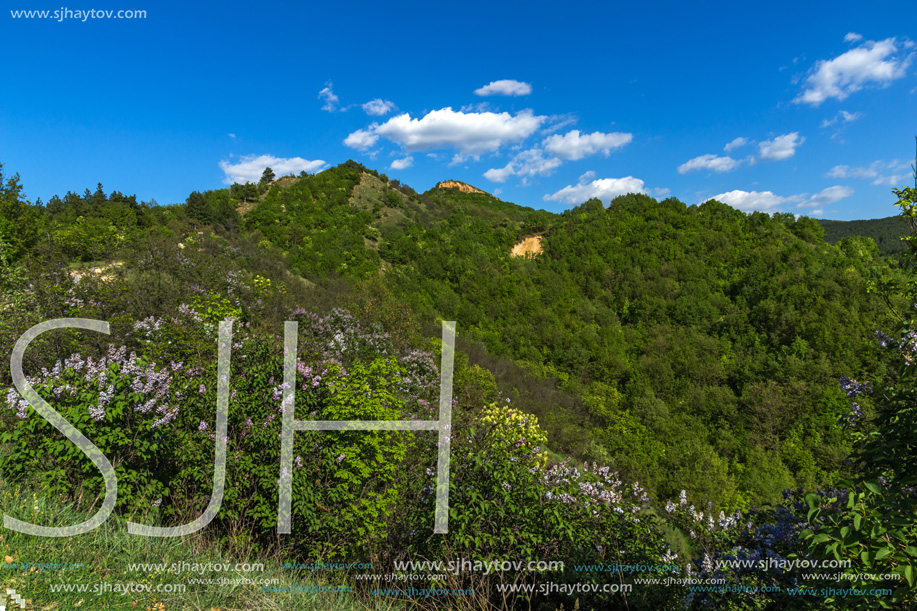Landscape near rock formation Stob pyramids, Rila Mountain, Kyustendil region, Bulgaria