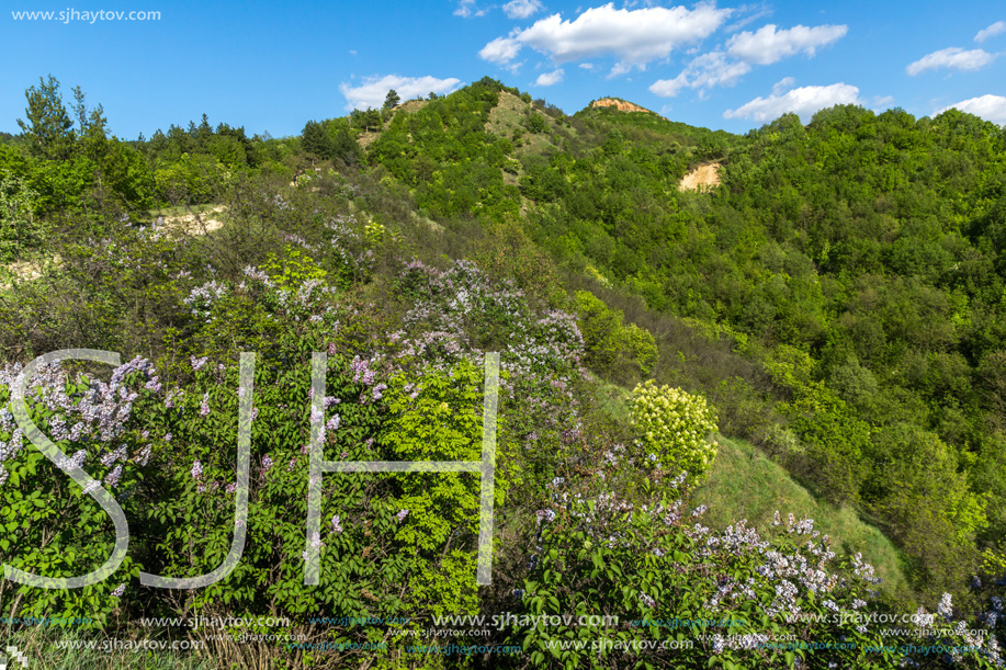 Landscape near rock formation Stob pyramids, Rila Mountain, Kyustendil region, Bulgaria