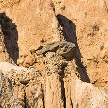 Landscape with rock formation Stob pyramids, Rila Mountain, Kyustendil region, Bulgaria