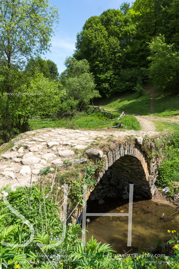 Stone bridge over Fotinovo River near village of Fotinovo in Rhodopes Mountain, Pazardzhik region, Bulgaria