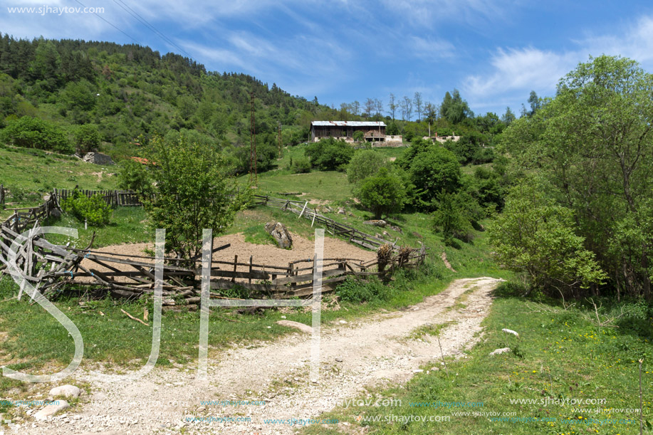 Spring landscape of Green Hills near village of Fotinovo in Rhodopes Mountain, Pazardzhik region, Bulgaria