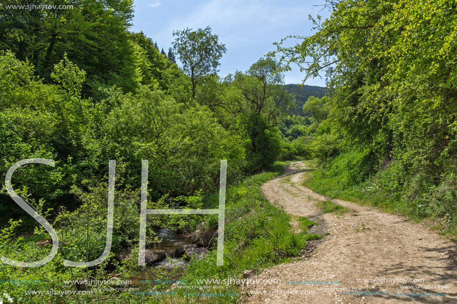 Spring landscape of Green Hills near village of Fotinovo in Rhodopes Mountain, Pazardzhik region, Bulgaria