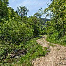 Spring landscape of Green Hills near village of Fotinovo in Rhodopes Mountain, Pazardzhik region, Bulgaria