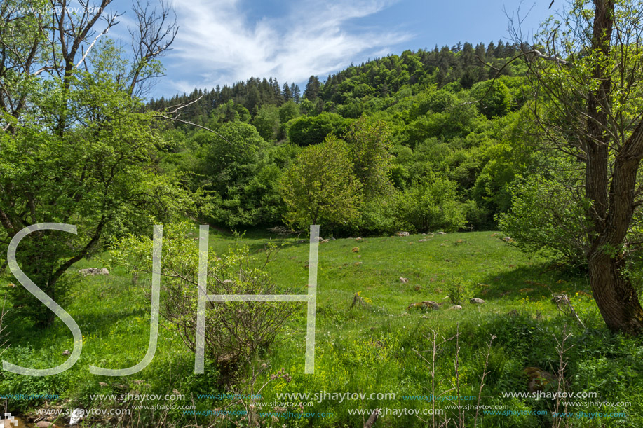 Spring landscape of Green Hills near village of Fotinovo in Rhodopes Mountain, Pazardzhik region, Bulgaria