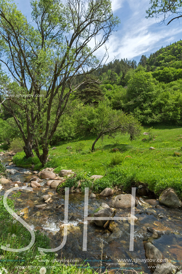 Landscape of Fotinovo River near village of Fotinovo in Rhodopes Mountain, Pazardzhik region, Bulgaria