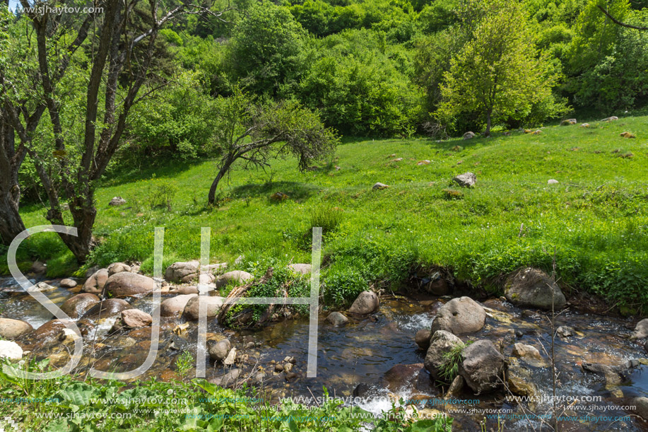 Landscape of Fotinovo River near village of Fotinovo in Rhodopes Mountain, Pazardzhik region, Bulgaria