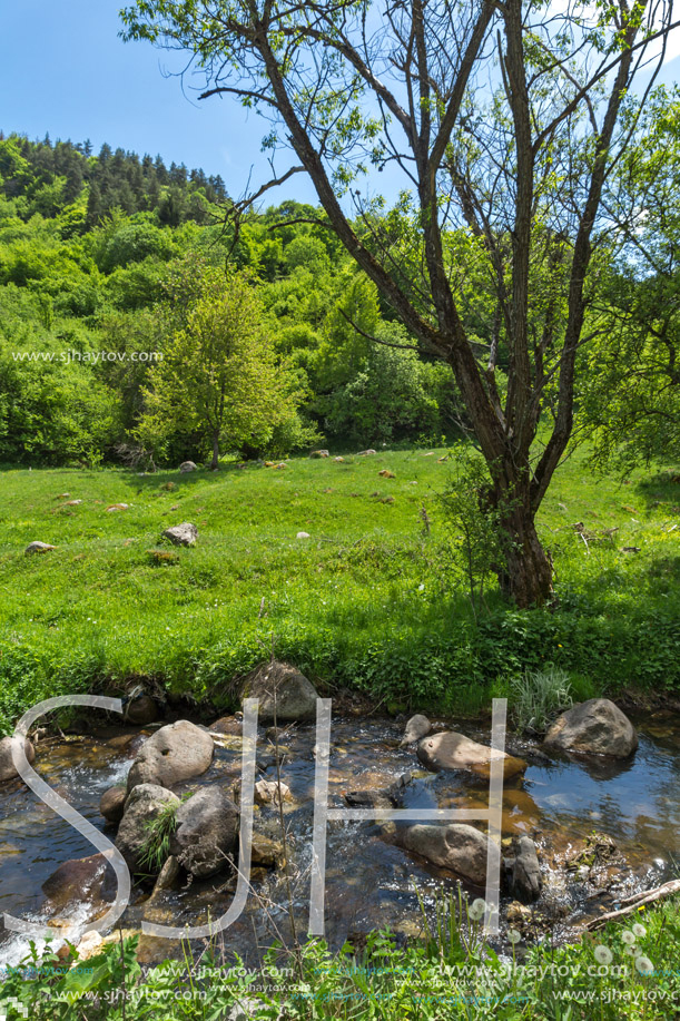 Landscape of Fotinovo River near village of Fotinovo in Rhodopes Mountain, Pazardzhik region, Bulgaria