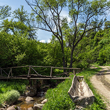 Wooden bridge over Fotinovo River near village of Fotinovo in Rhodopes Mountain, Pazardzhik region, Bulgaria