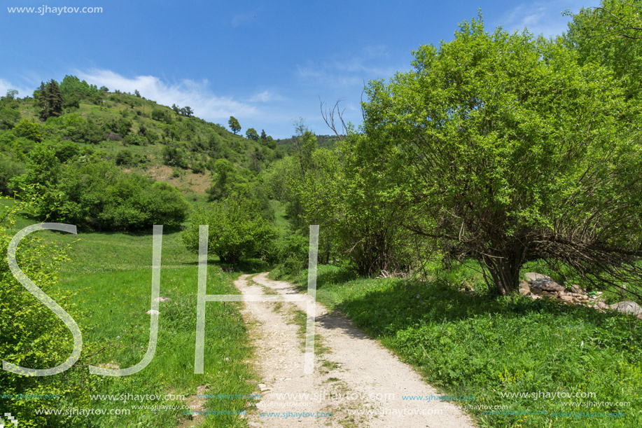 Spring landscape of Green Hills near village of Fotinovo in Rhodopes Mountain, Pazardzhik region, Bulgaria