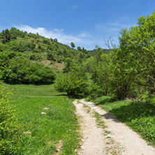 Spring landscape of Green Hills near village of Fotinovo in Rhodopes Mountain, Pazardzhik region, Bulgaria
