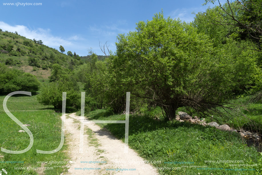 Spring landscape of Green Hills near village of Fotinovo in Rhodopes Mountain, Pazardzhik region, Bulgaria