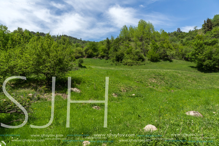 Spring landscape of Green Hills near village of Fotinovo in Rhodopes Mountain, Pazardzhik region, Bulgaria