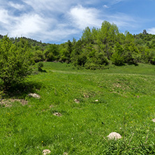 Spring landscape of Green Hills near village of Fotinovo in Rhodopes Mountain, Pazardzhik region, Bulgaria