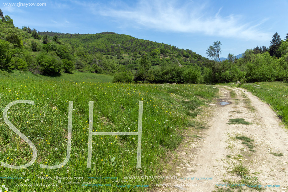 Spring landscape of Green Hills near village of Fotinovo in Rhodopes Mountain, Pazardzhik region, Bulgaria