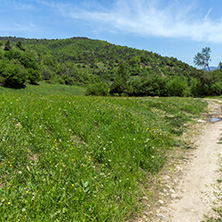 Spring landscape of Green Hills near village of Fotinovo in Rhodopes Mountain, Pazardzhik region, Bulgaria