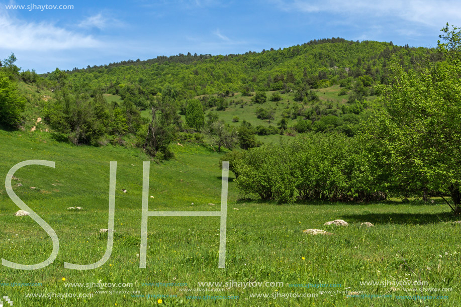 Spring landscape of Green Hills near village of Fotinovo in Rhodopes Mountain, Pazardzhik region, Bulgaria