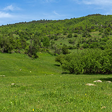 Spring landscape of Green Hills near village of Fotinovo in Rhodopes Mountain, Pazardzhik region, Bulgaria