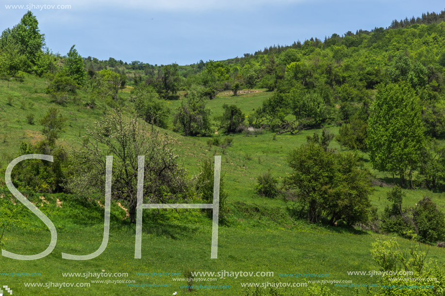 Spring landscape of Green Hills near village of Fotinovo in Rhodopes Mountain, Pazardzhik region, Bulgaria