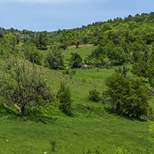 Spring landscape of Green Hills near village of Fotinovo in Rhodopes Mountain, Pazardzhik region, Bulgaria