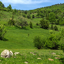 Spring landscape of Green Hills near village of Fotinovo in Rhodopes Mountain, Pazardzhik region, Bulgaria