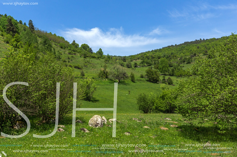 Spring landscape of Green Hills near village of Fotinovo in Rhodopes Mountain, Pazardzhik region, Bulgaria