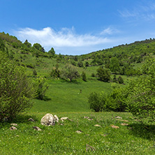 Spring landscape of Green Hills near village of Fotinovo in Rhodopes Mountain, Pazardzhik region, Bulgaria