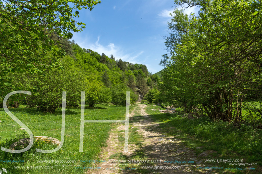 Spring landscape of Green Hills near village of Fotinovo in Rhodopes Mountain, Pazardzhik region, Bulgaria