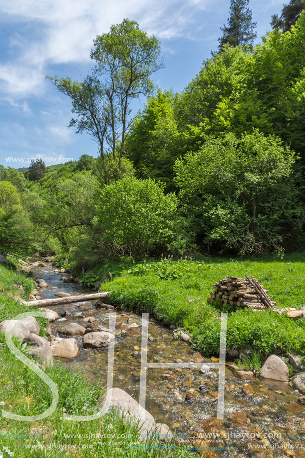 Landscape of Fotinovo River near village of Fotinovo in Rhodopes Mountain, Pazardzhik region, Bulgaria