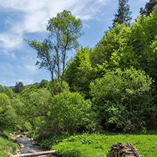 Landscape of Fotinovo River near village of Fotinovo in Rhodopes Mountain, Pazardzhik region, Bulgaria