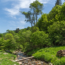 Landscape of Fotinovo River near village of Fotinovo in Rhodopes Mountain, Pazardzhik region, Bulgaria