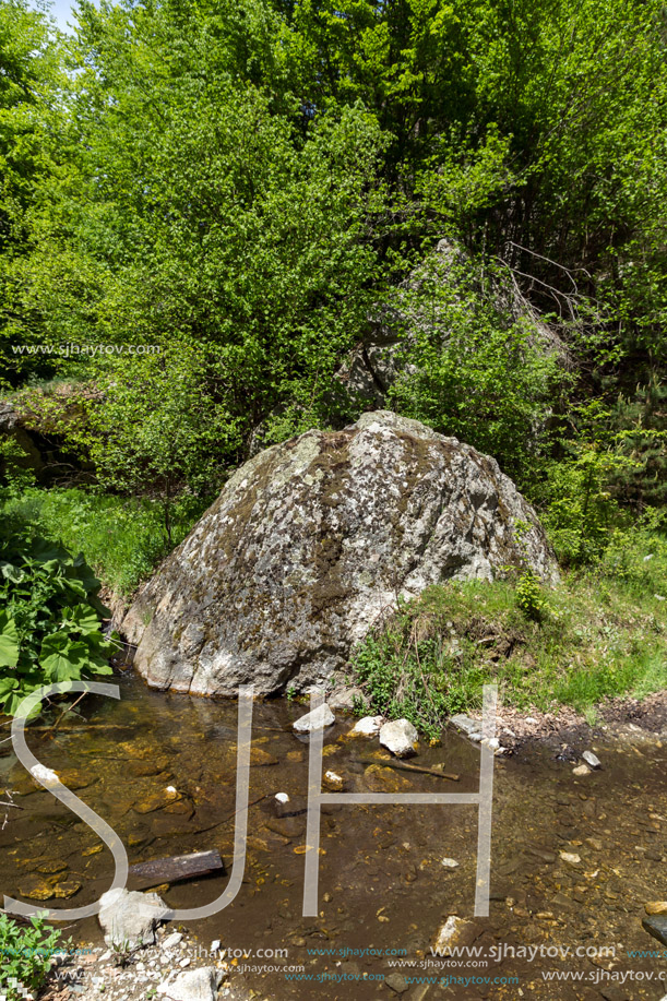 Landscape of Fotinovo River near village of Fotinovo in Rhodopes Mountain, Pazardzhik region, Bulgaria