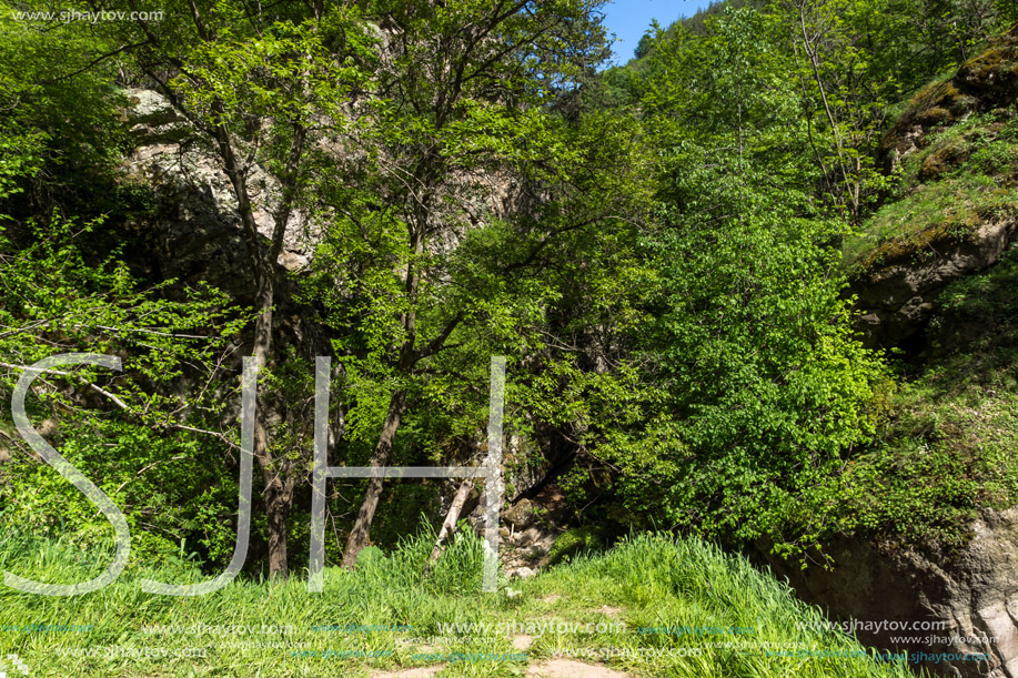 Amazing Landscape near Fotinovo waterfalls (Fotinski waterfall) in Rhodopes Mountain, Pazardzhik region, Bulgaria