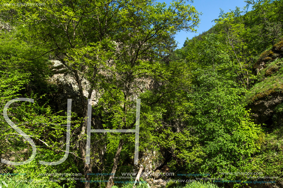 Amazing Landscape near Fotinovo waterfalls (Fotinski waterfall) in Rhodopes Mountain, Pazardzhik region, Bulgaria