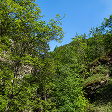 Amazing Landscape near Fotinovo waterfalls (Fotinski waterfall) in Rhodopes Mountain, Pazardzhik region, Bulgaria