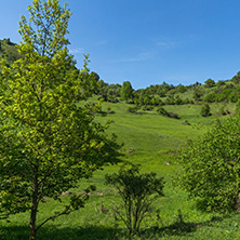 Amazing landscape of Green Hills near village of Fotinovo in Rhodopes Mountain, Pazardzhik region, Bulgaria