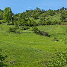 Amazing landscape of Green Hills near village of Fotinovo in Rhodopes Mountain, Pazardzhik region, Bulgaria