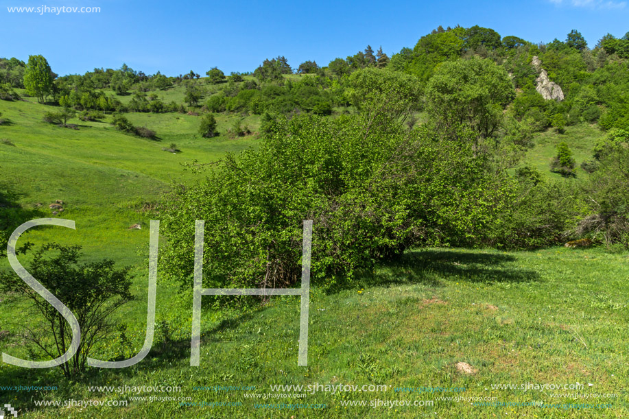 Amazing landscape of Green Hills near village of Fotinovo in Rhodopes Mountain, Pazardzhik region, Bulgaria