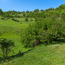 Amazing landscape of Green Hills near village of Fotinovo in Rhodopes Mountain, Pazardzhik region, Bulgaria