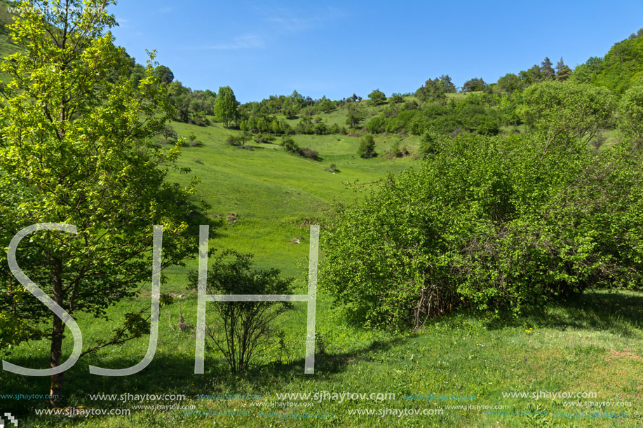 Amazing landscape of Green Hills near village of Fotinovo in Rhodopes Mountain, Pazardzhik region, Bulgaria