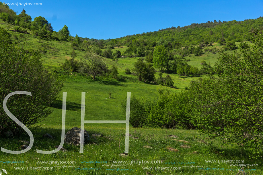 Amazing landscape of Green Hills near village of Fotinovo in Rhodopes Mountain, Pazardzhik region, Bulgaria