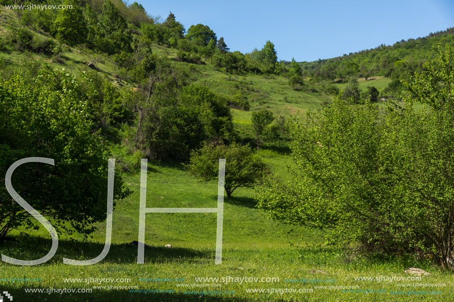 Amazing landscape of Green Hills near village of Fotinovo in Rhodopes Mountain, Pazardzhik region, Bulgaria