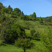 Amazing landscape of Green Hills near village of Fotinovo in Rhodopes Mountain, Pazardzhik region, Bulgaria