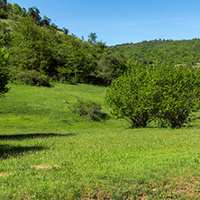 Amazing landscape of Green Hills near village of Fotinovo in Rhodopes Mountain, Pazardzhik region, Bulgaria