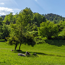 Amazing landscape of Green Hills near village of Fotinovo in Rhodopes Mountain, Pazardzhik region, Bulgaria