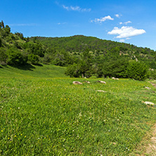 Amazing landscape of Green Hills near village of Fotinovo in Rhodopes Mountain, Pazardzhik region, Bulgaria