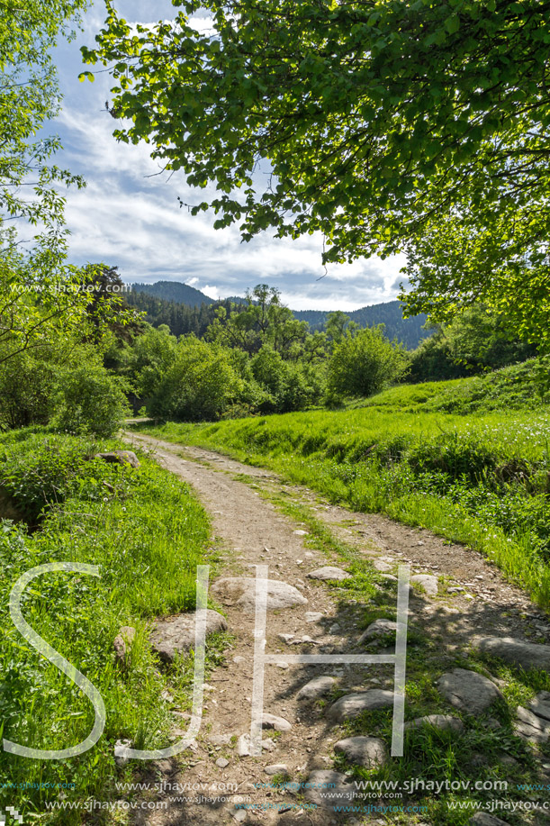 Amazing landscape of Green Hills near village of Fotinovo in Rhodopes Mountain, Pazardzhik region, Bulgaria