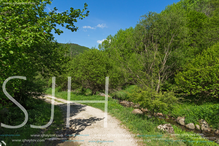 Amazing landscape of Green Hills near village of Fotinovo in Rhodopes Mountain, Pazardzhik region, Bulgaria